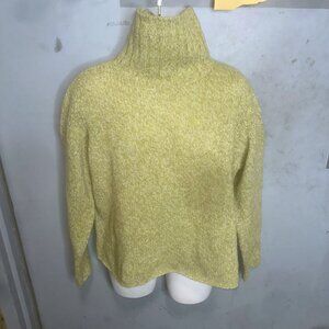 Eileen Fisher Knit Turtle Neck Sweater XL